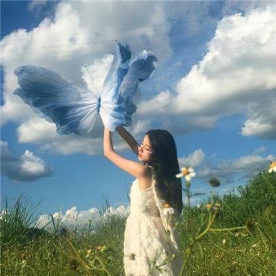 樱花队离散
